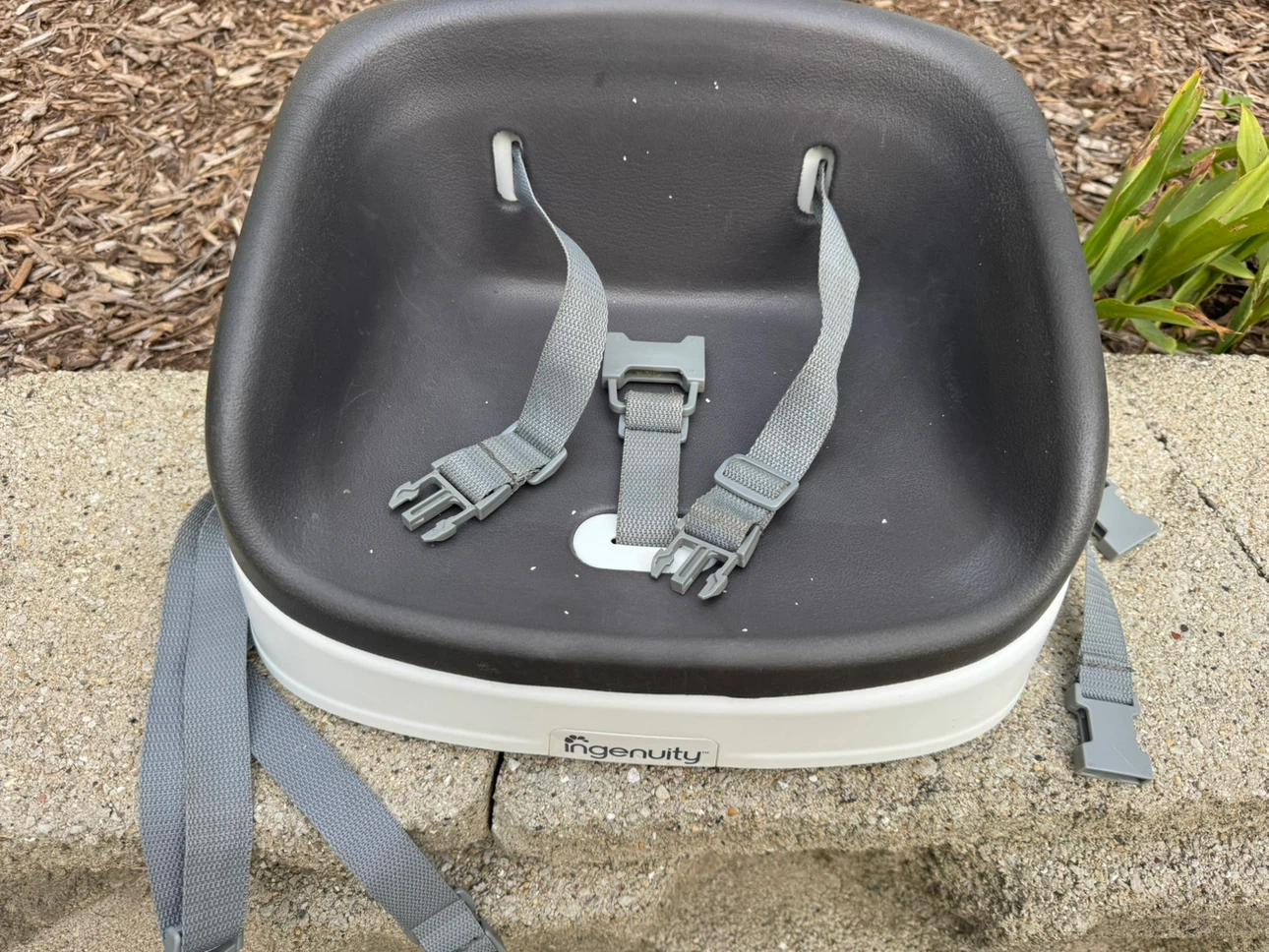Ingenuity Baby Booster Seat - photo 2