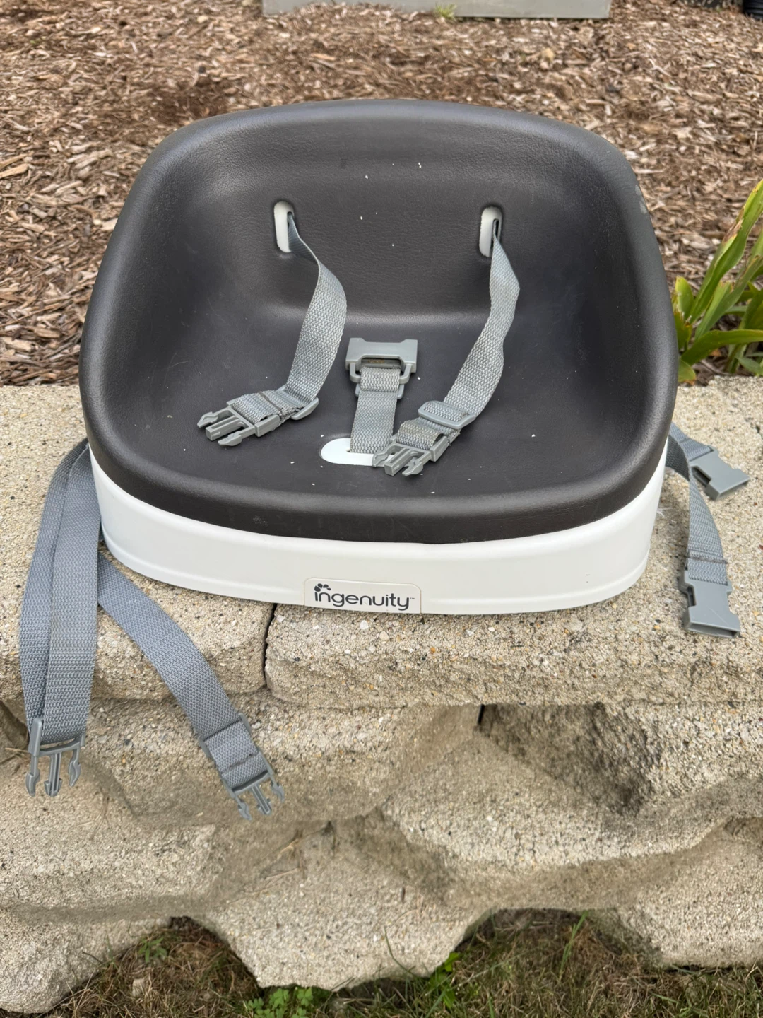 Ingenuity Baby Booster Seat - photo 3