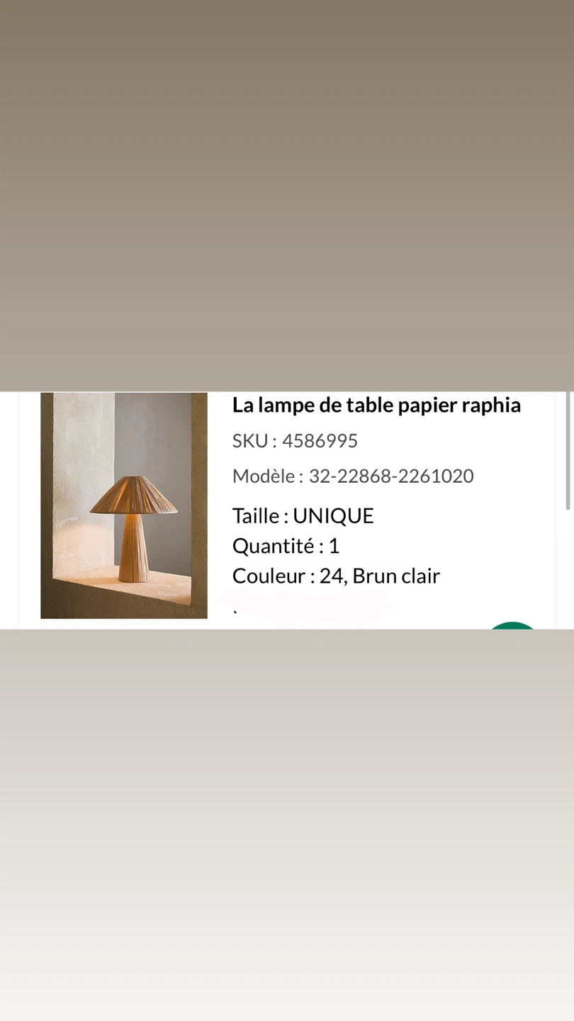 Raphia Paper Table Lamp - photo 5