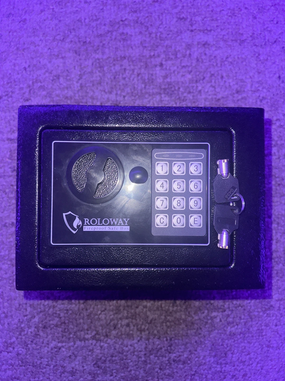 Roloway Fireproof Safe Box