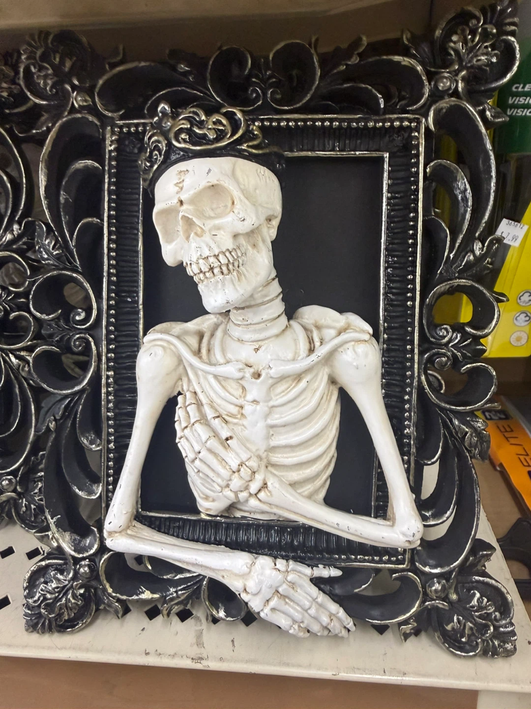 Framed Skeleton Wall Decor