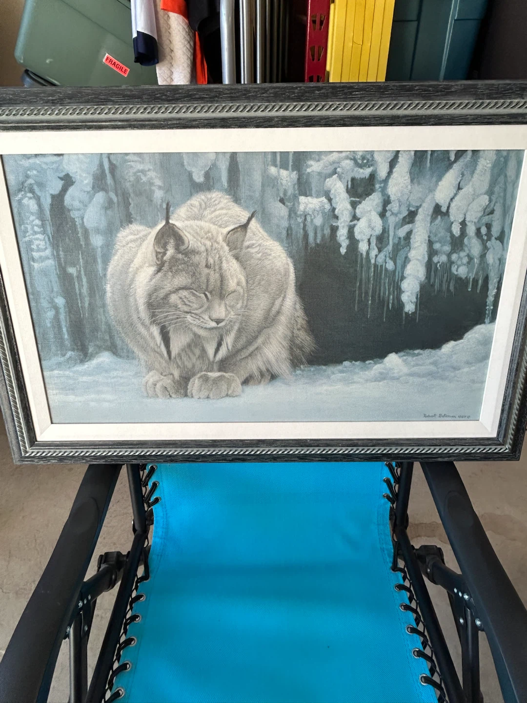 Robert Bateman Lynx Framed Print 1987