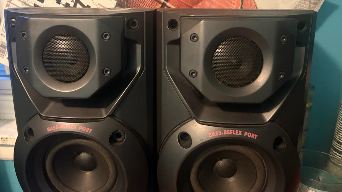 Sony Bass-Reflex Port Speakers