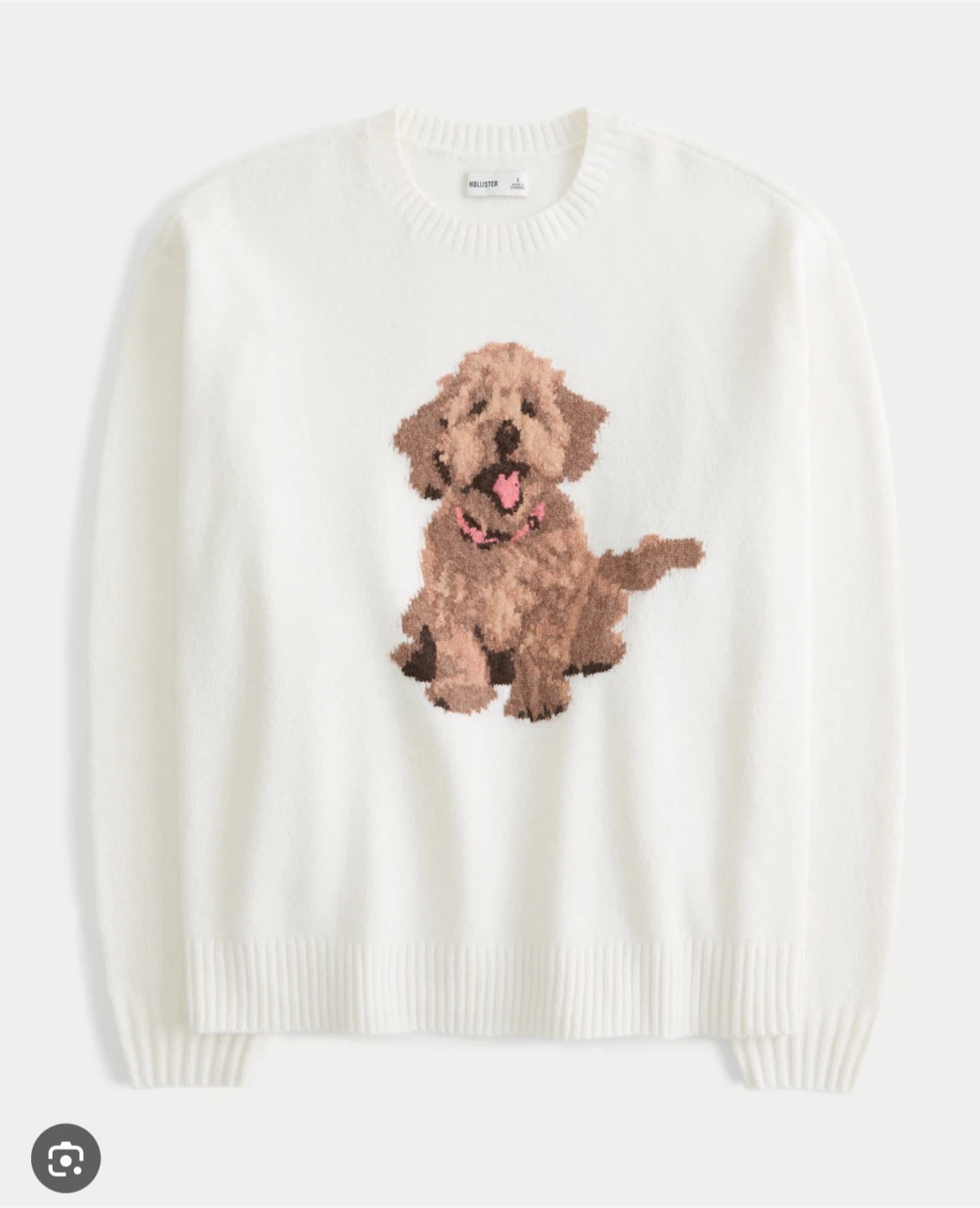 Hollister Cream Dog Graphic Sweater