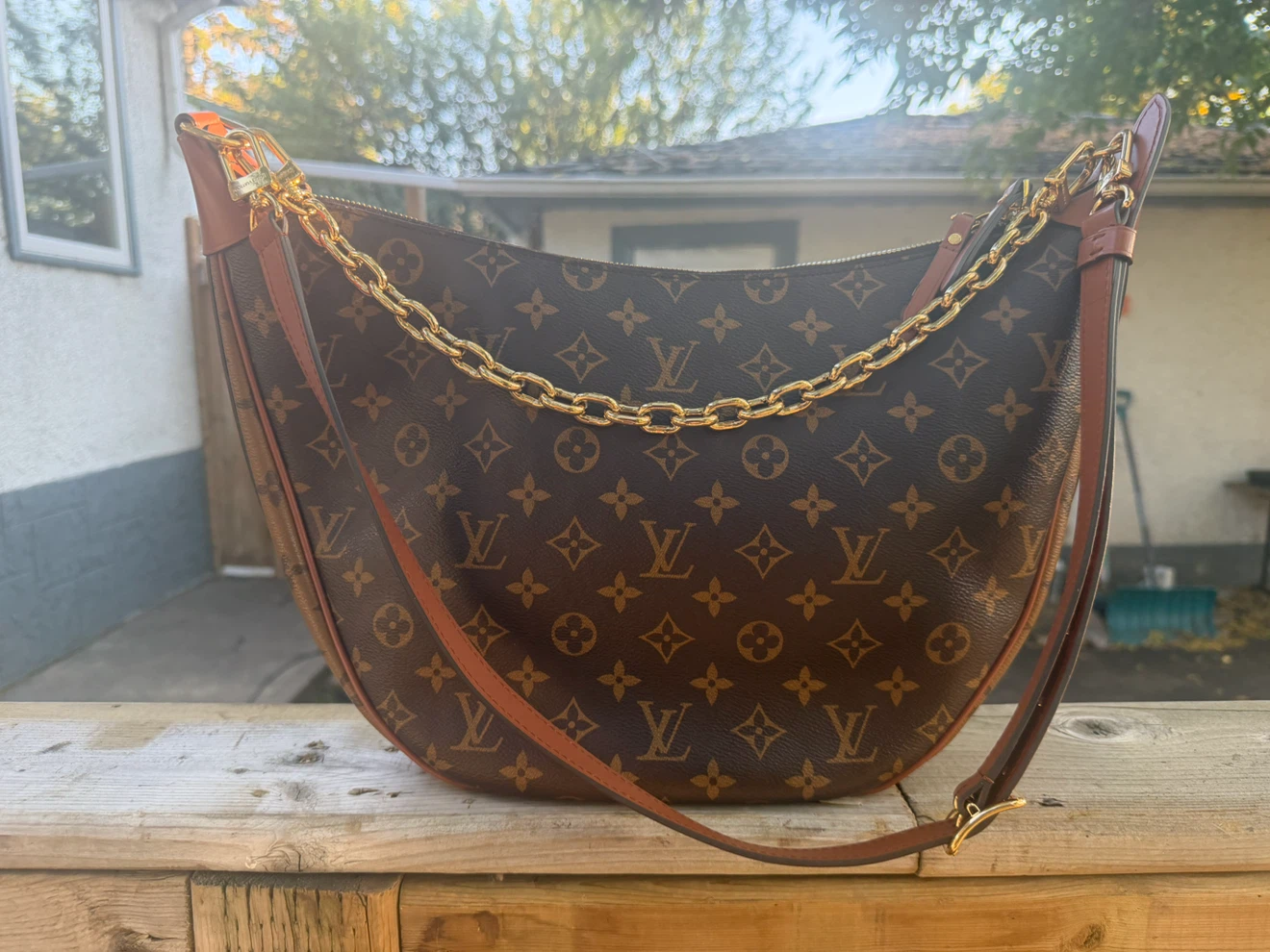 Louis Vuitton Loop Hobo Monogram Bag