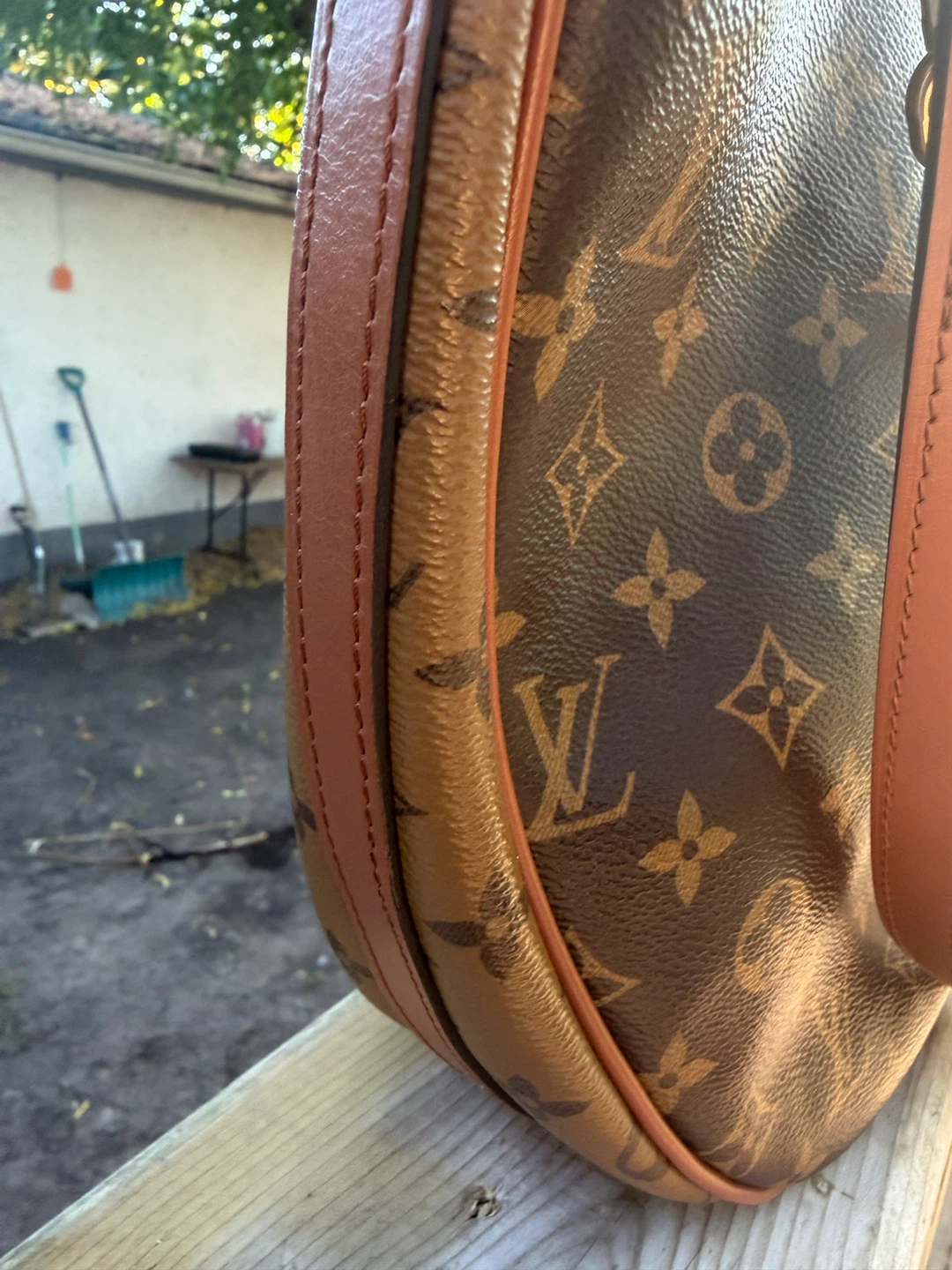 Louis Vuitton Loop Hobo Monogram Bag - photo 3