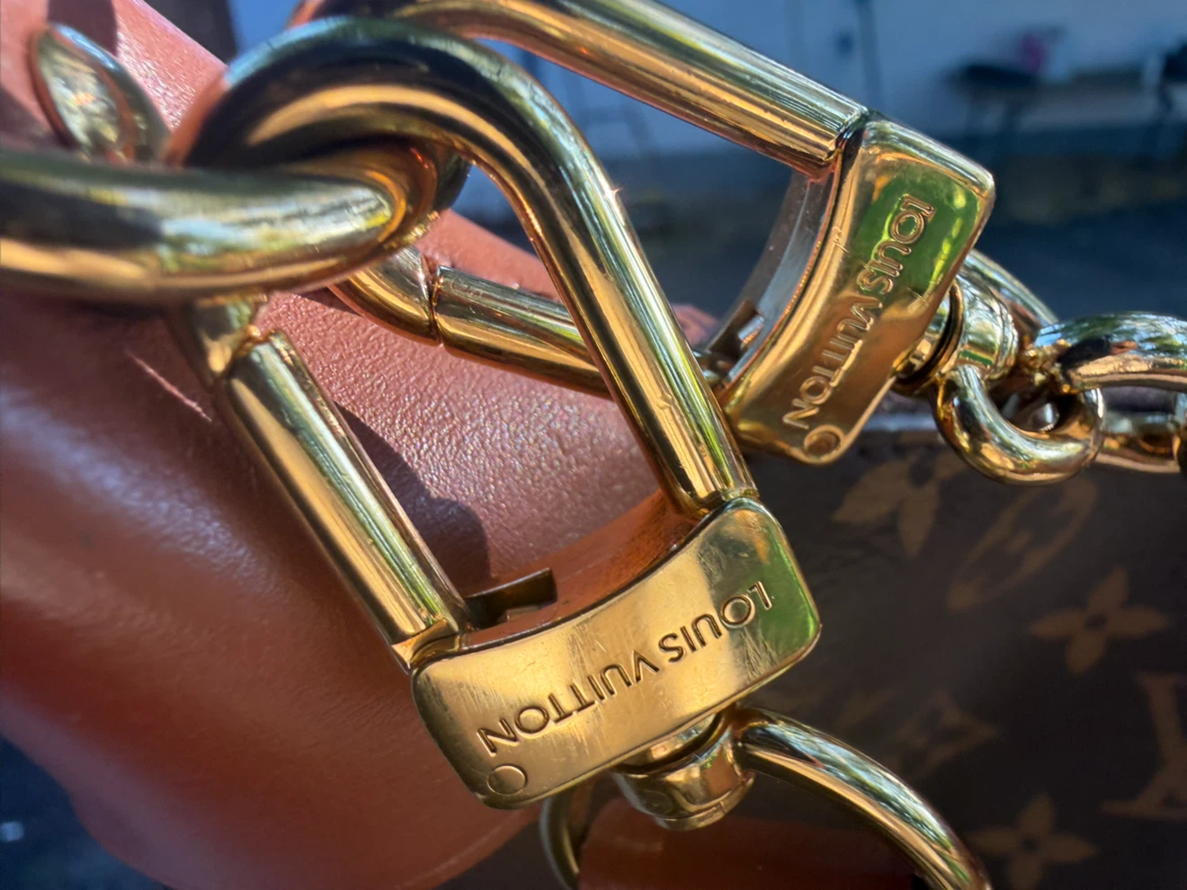 Louis Vuitton Loop Hobo Monogram Bag - photo 4