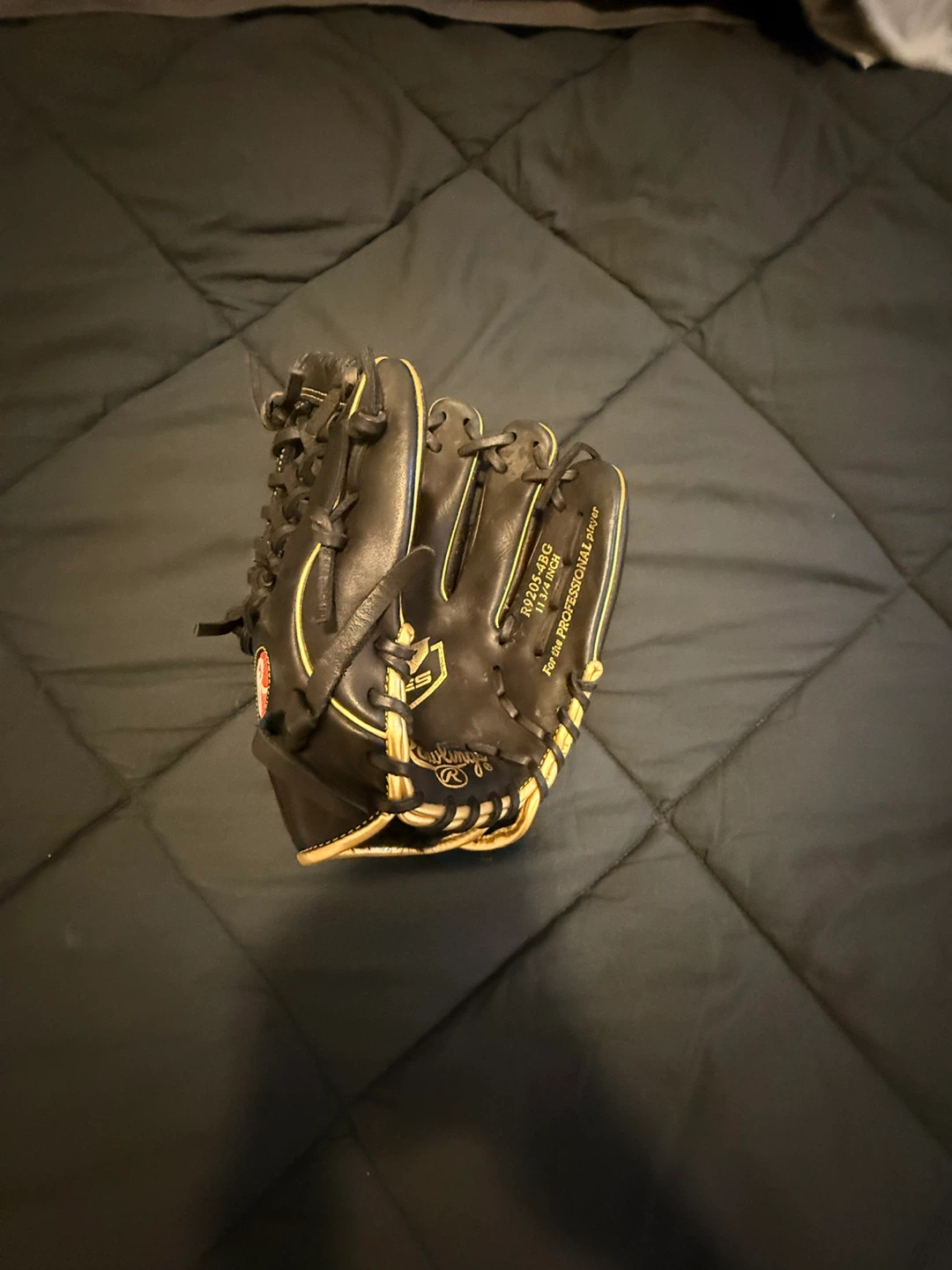 Rawlings R9205-4BG Baseball Glove - Fur in side