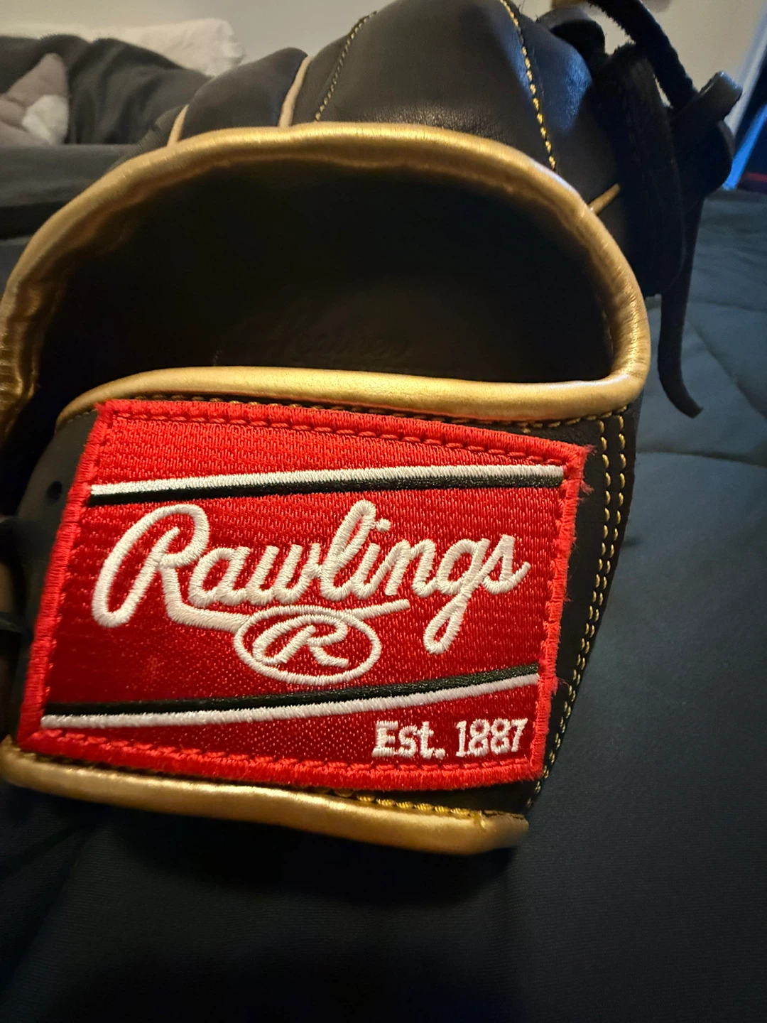 Rawlings R9205-4BG Baseball Glove - Fur in side - photo 3