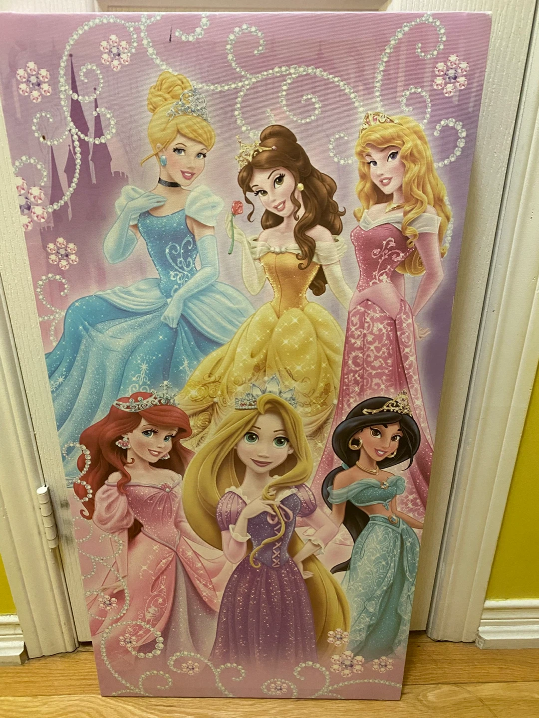 Disney Princess Wall Canvas 🏈