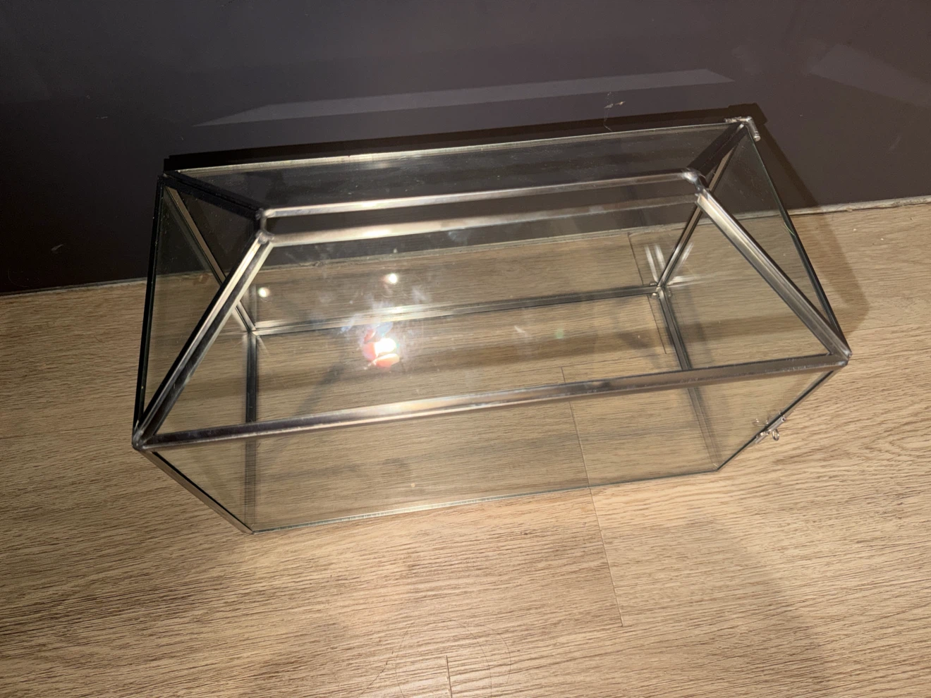 Glass Display Case with Metal Frame - photo 4
