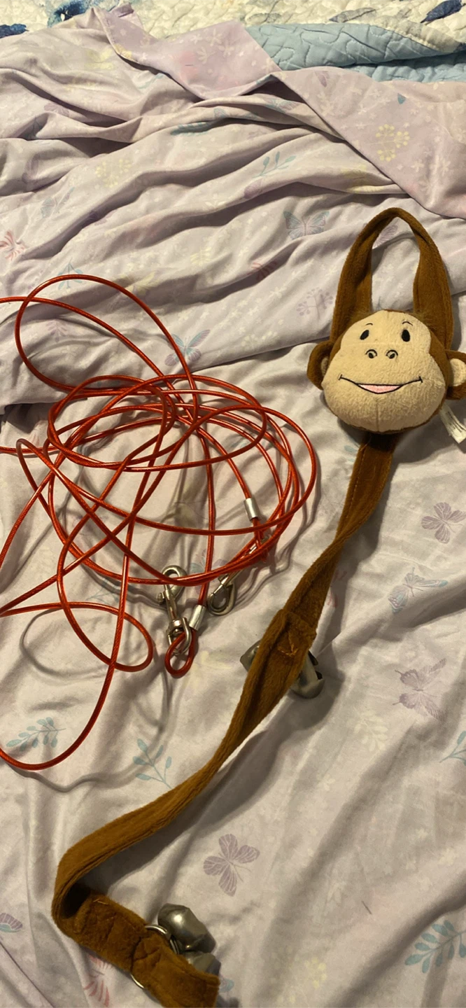 Dog Tie-Out Cable and Monkey Toy