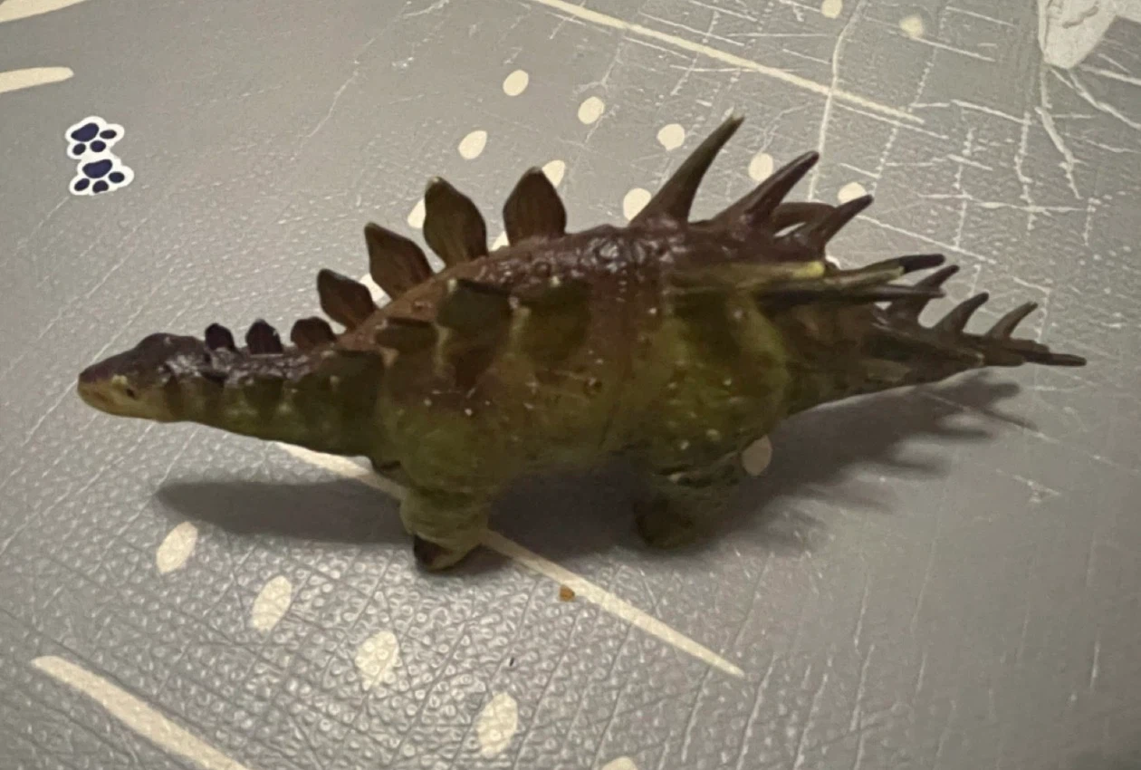 Dinosaur toy figurine🏈