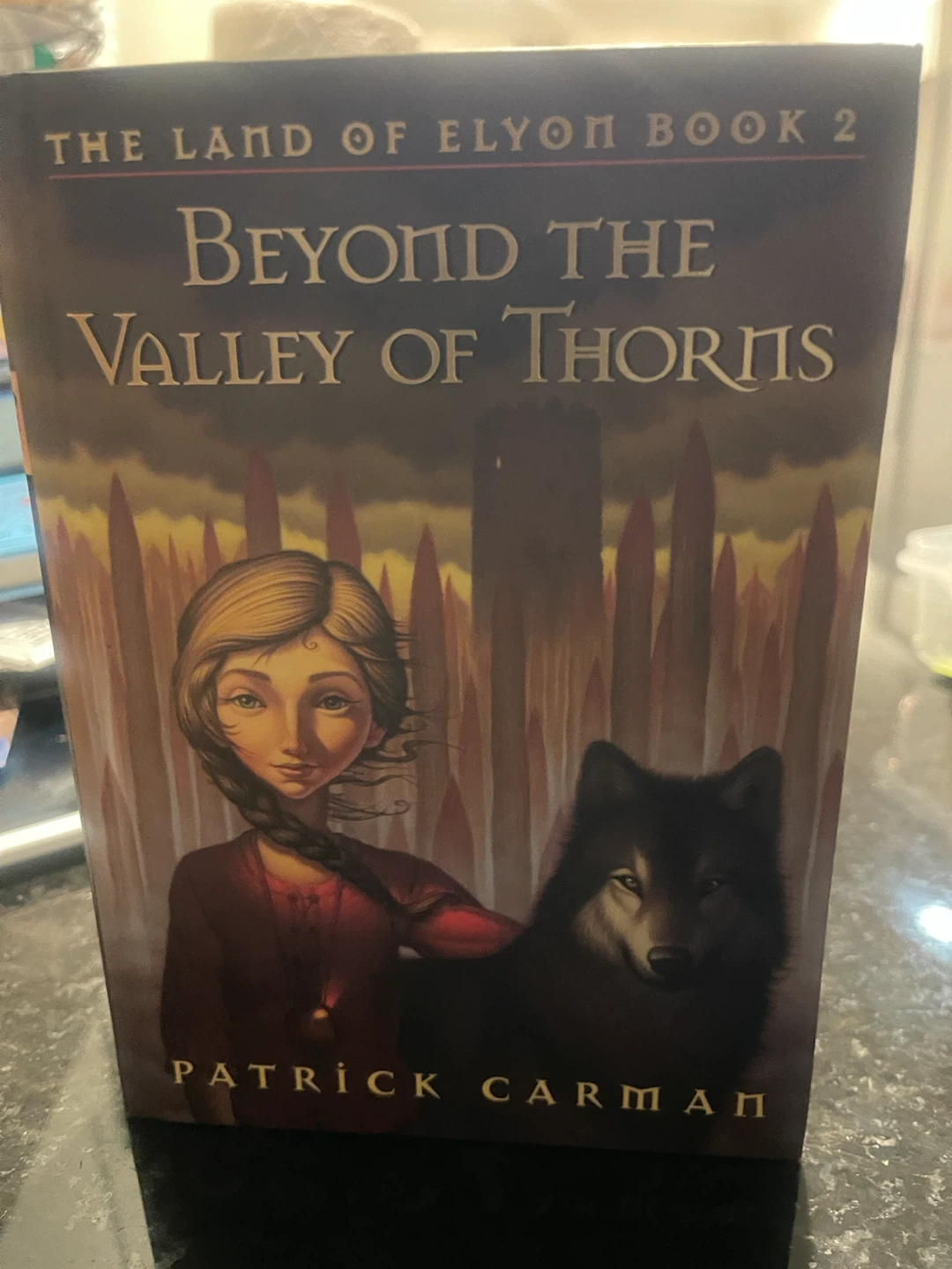 Beyond the Valley of Thorns by Patrick Carman