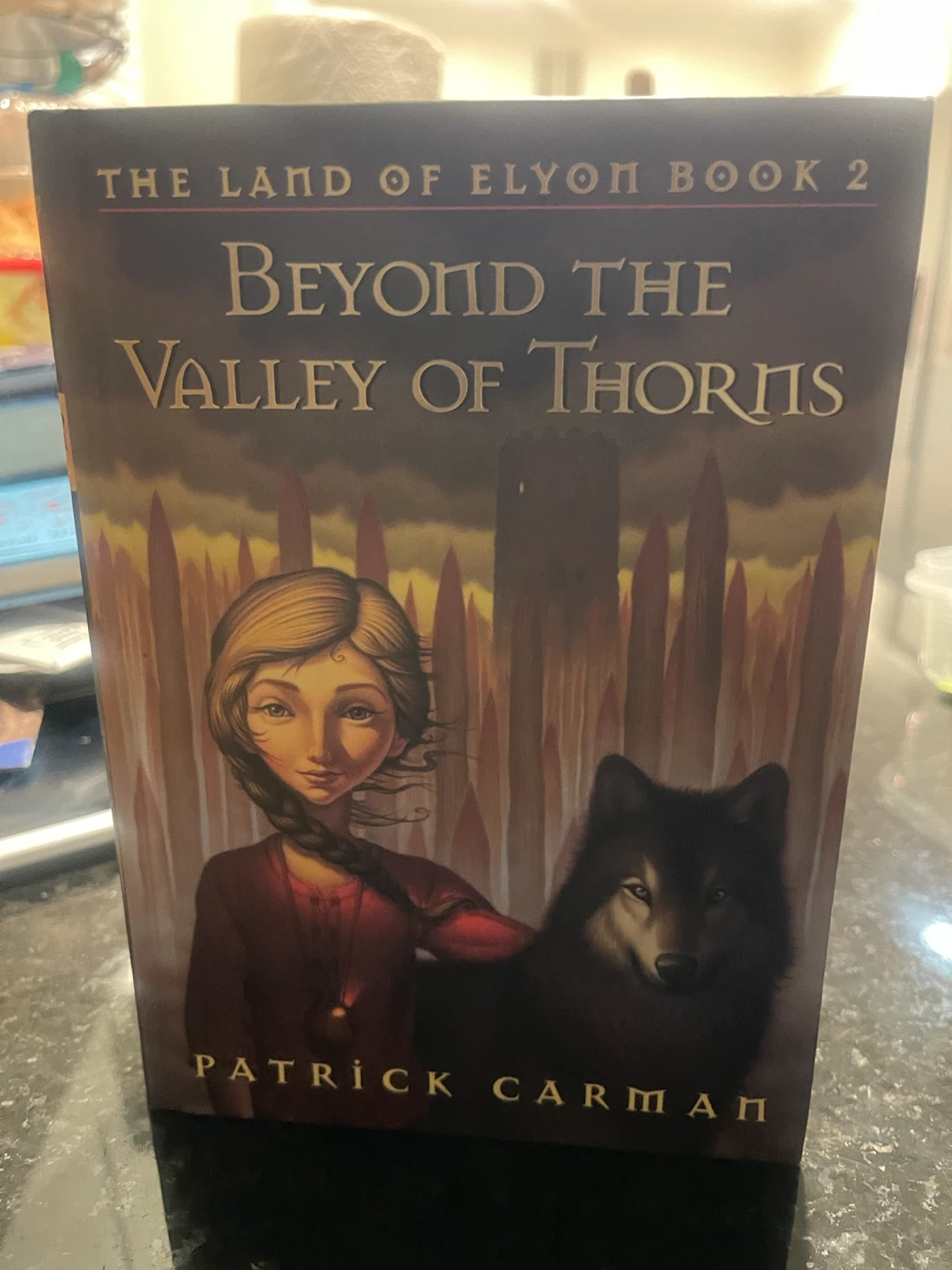 Beyond the Valley of Thorns by Patrick Carman - photo 3