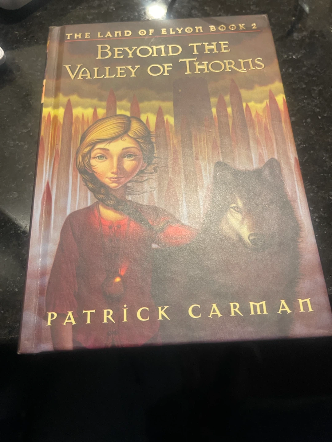 Beyond the Valley of Thorns by Patrick Carman - photo 5
