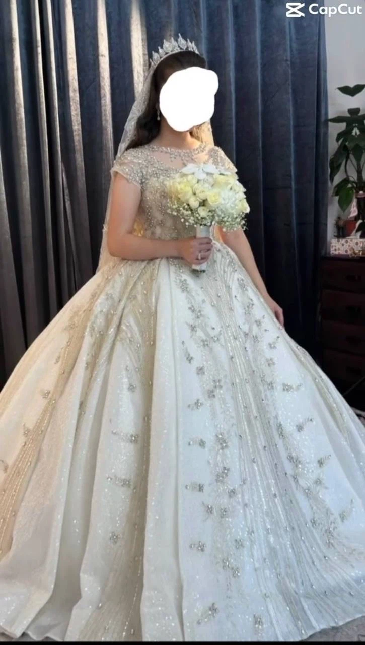 Embroidered White Ball Gown Wedding Dress - photo 2