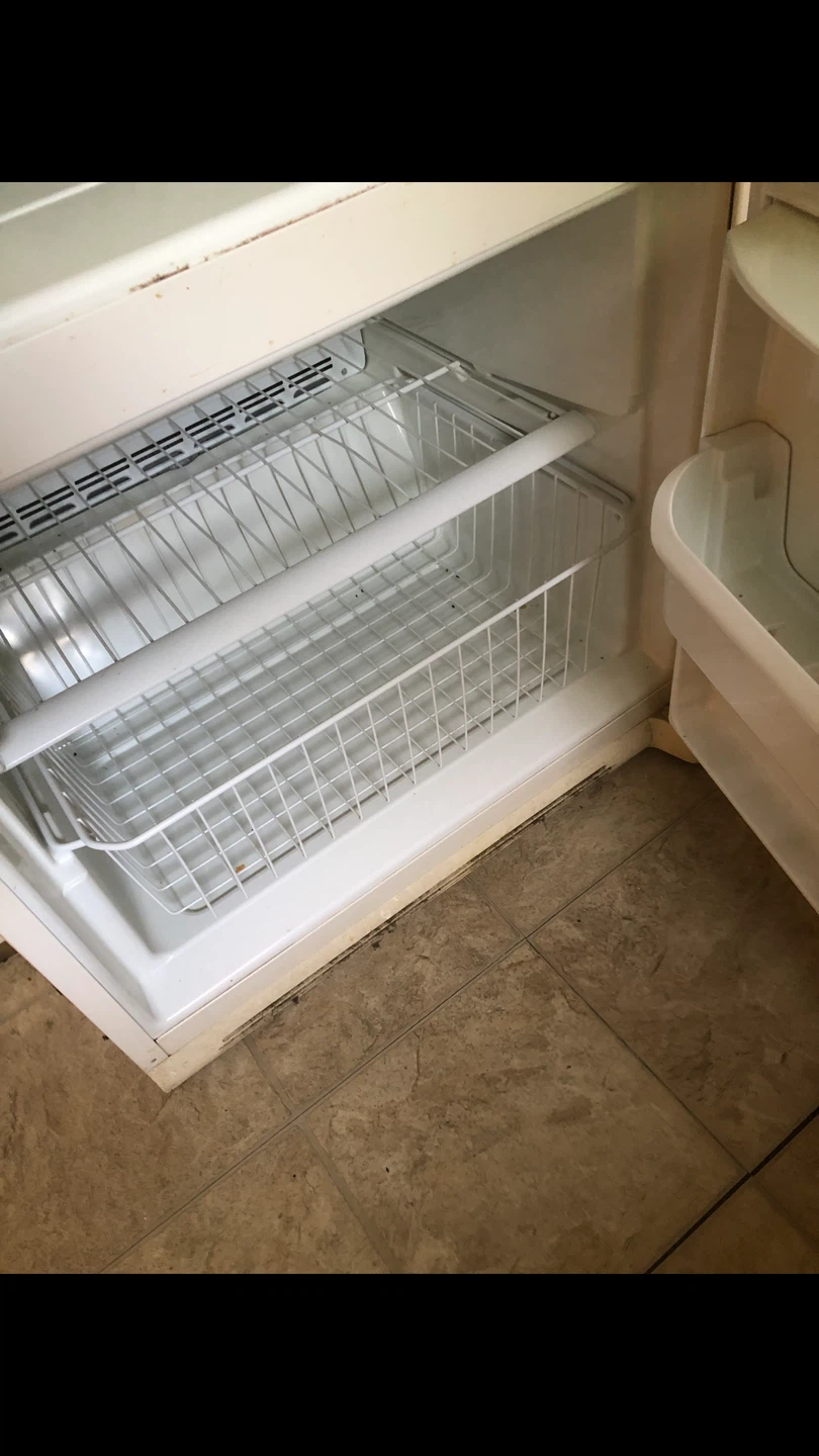 Kenmore Refrigerator Model 596.66944400 - photo 3