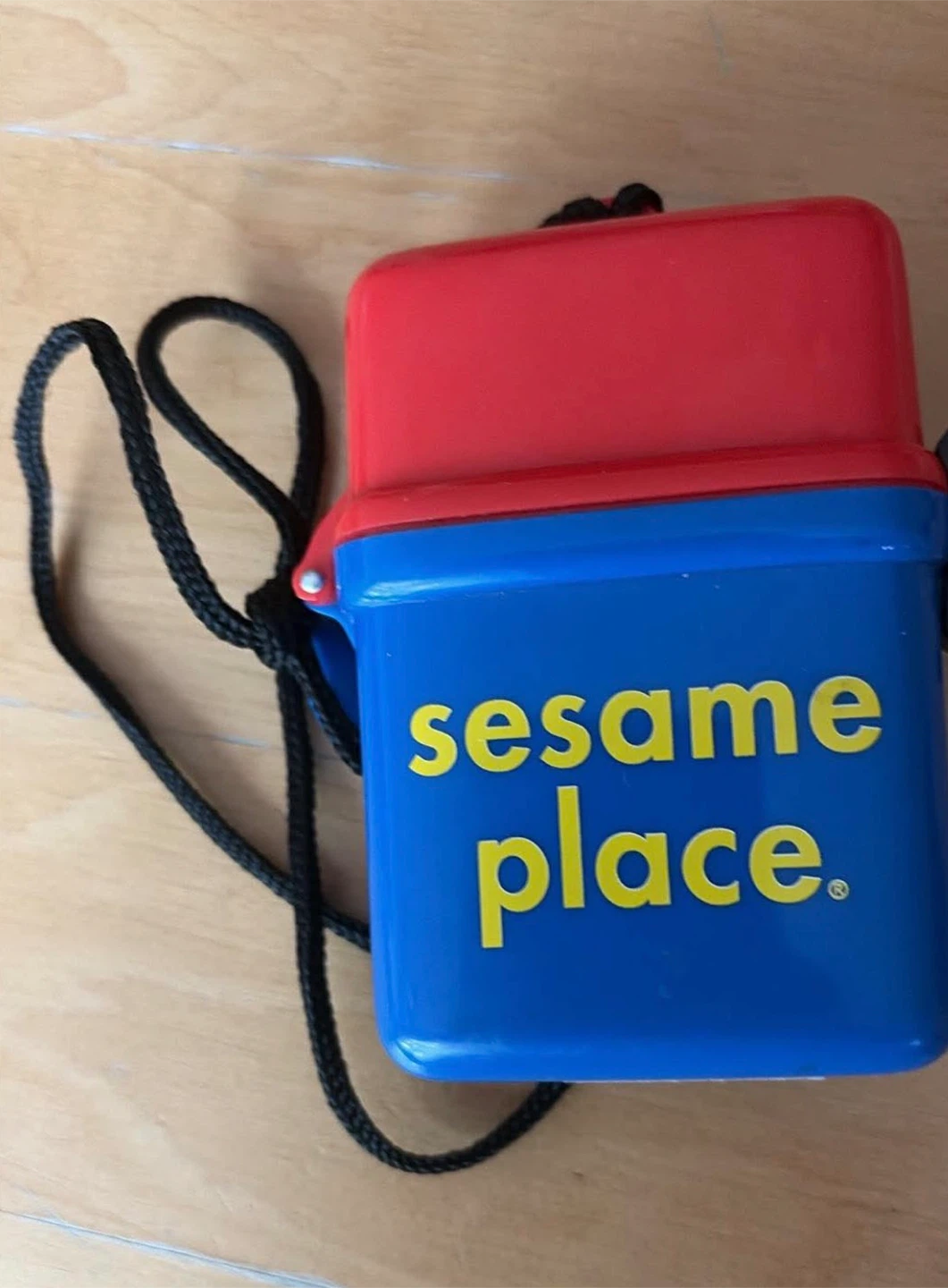 🏈Sesame Place Plastic Container with Strap