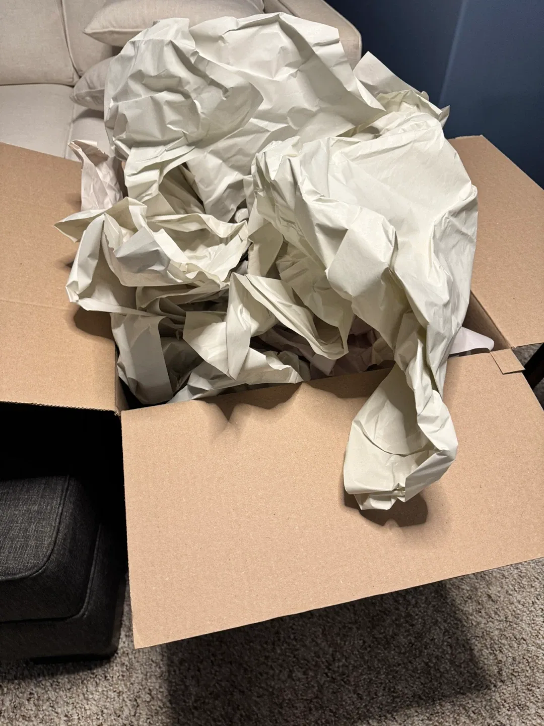 Assorted Moving Boxes and Packing Paper