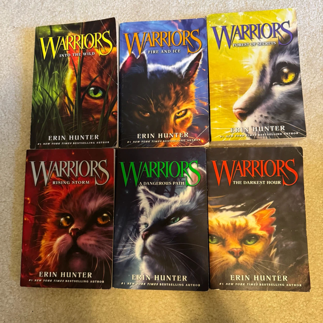 Warriors Book Series - 18 Books - photo 2