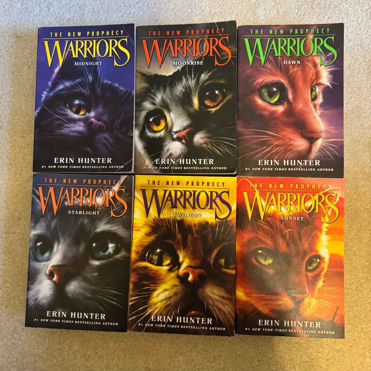 Warriors Book Series - 18 Books - photo 3
