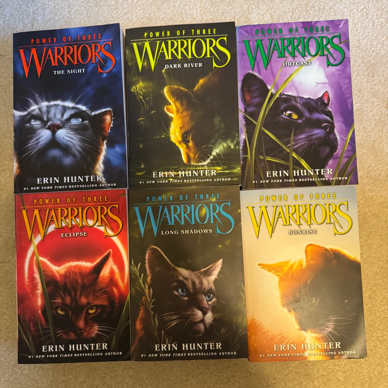 Warriors Book Series - 18 Books - photo 4
