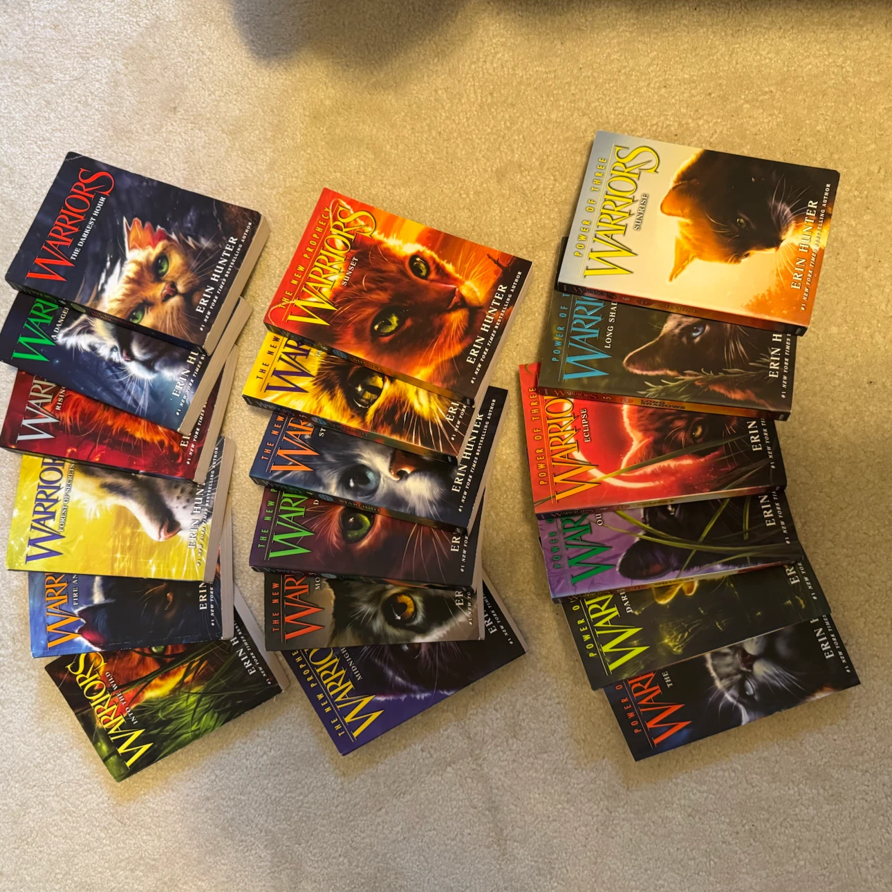 Warriors Book Series - 18 Books - photo 5