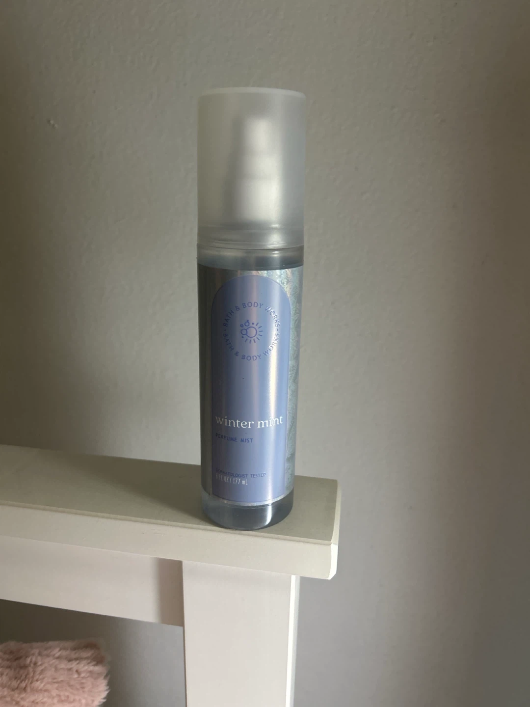 Bath & Body Works Winter Mint Perfume Mist 🏈