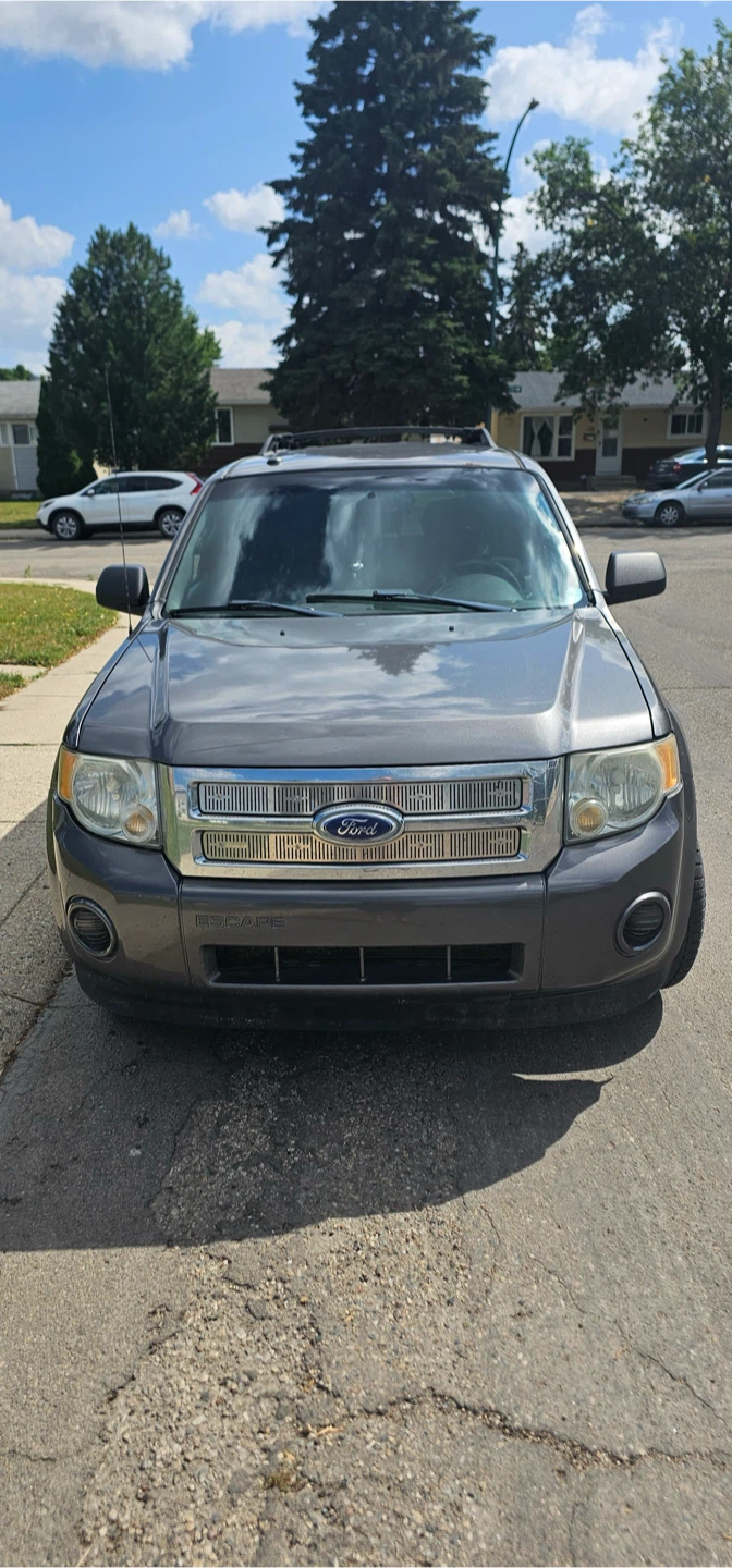 2011 Ford Escape XLT 2WD