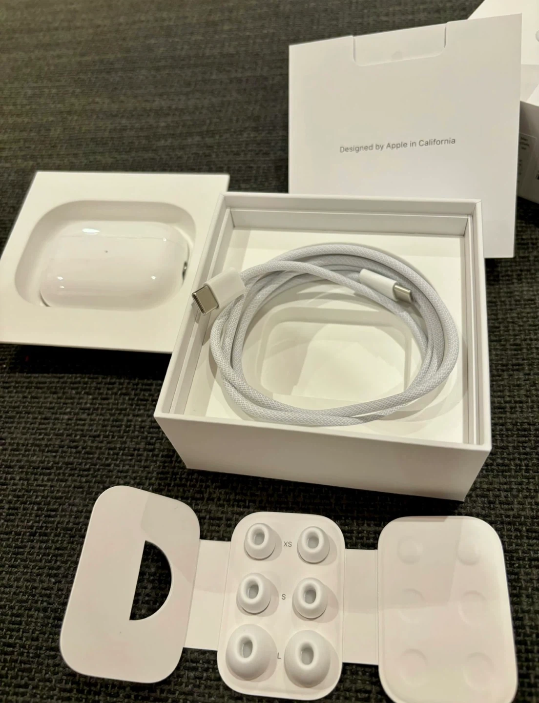 Apple AirPods Pro 2 (USB-C) - photo 3