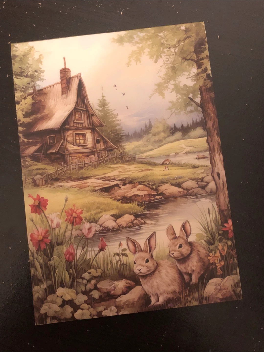 Decorative Cottage and Rabbits Art pad🏈