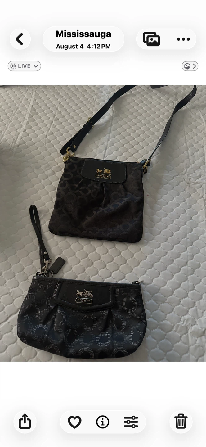 2 coach bags