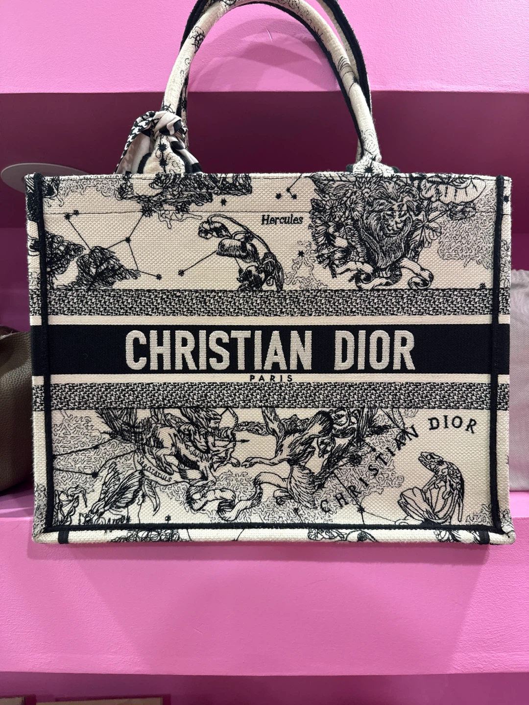 Christian Dior Book Tote Zodiac
