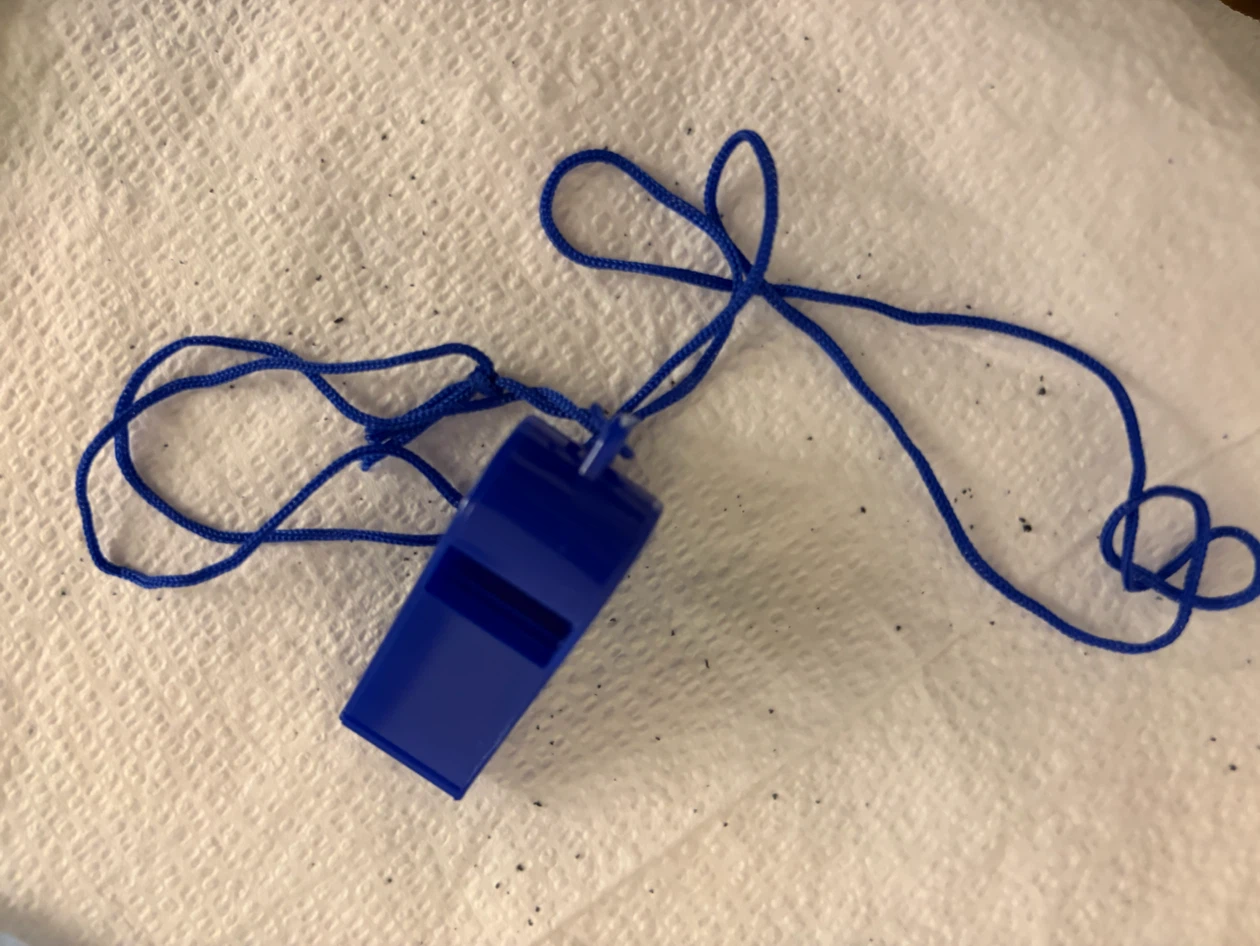 Blue Plastic Whistle with Lanyard 🏈
