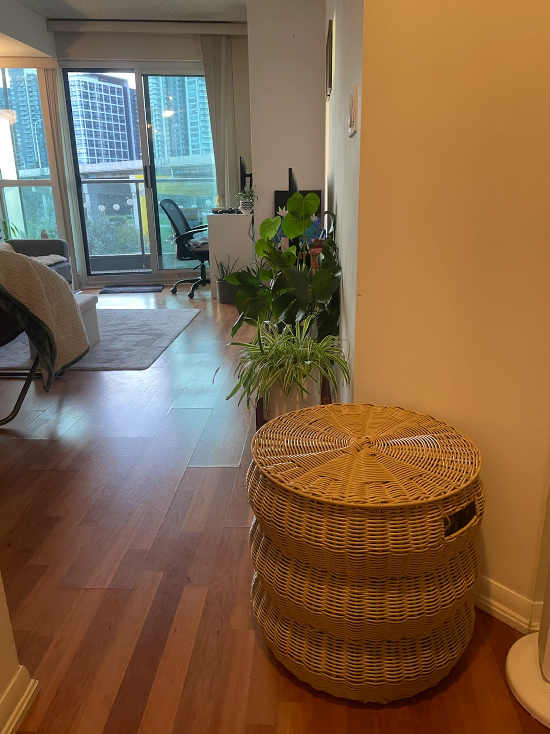 Round Wicker Storage Basket