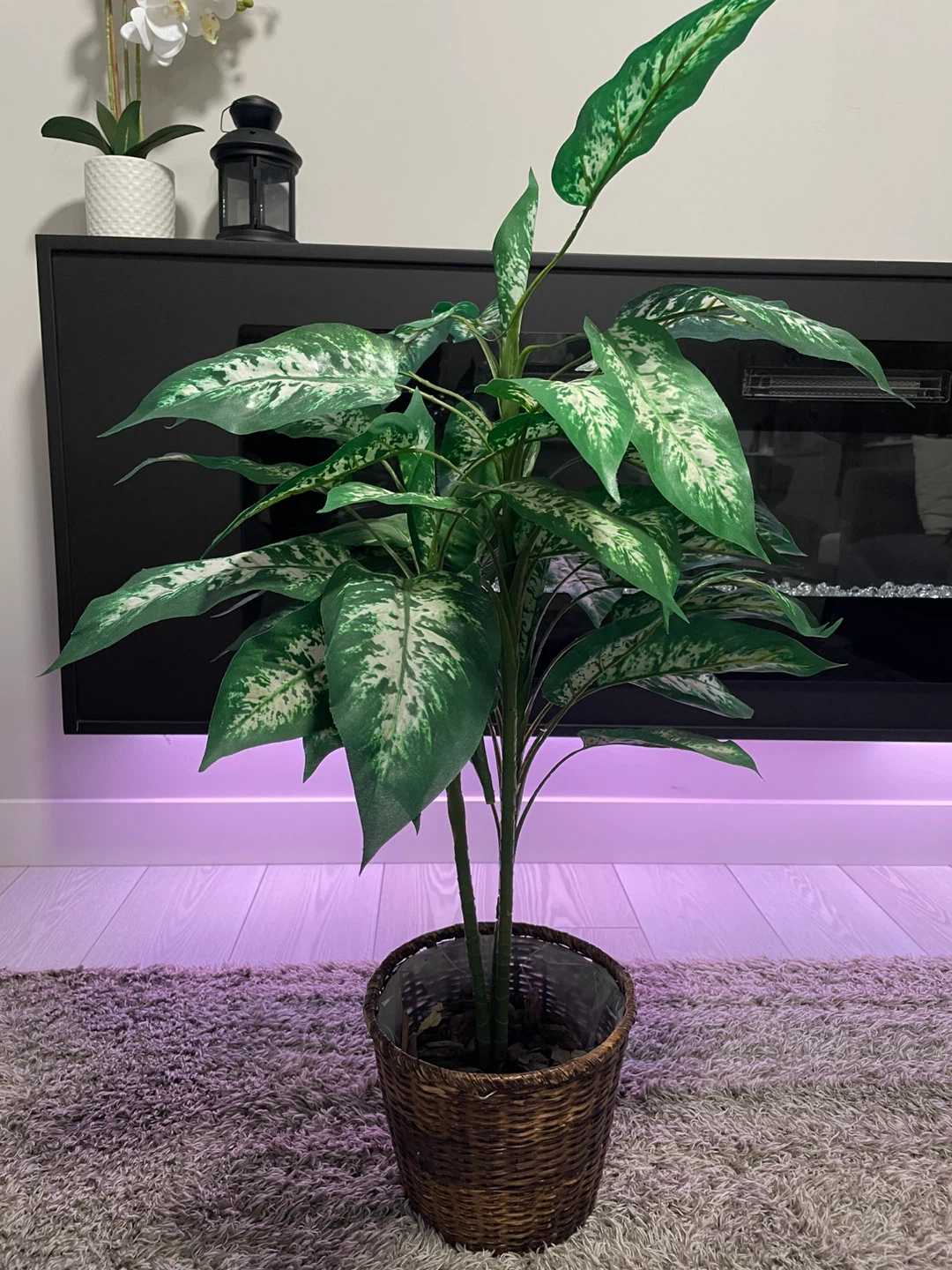 Artificial Dieffenbachia plant in wicker basket