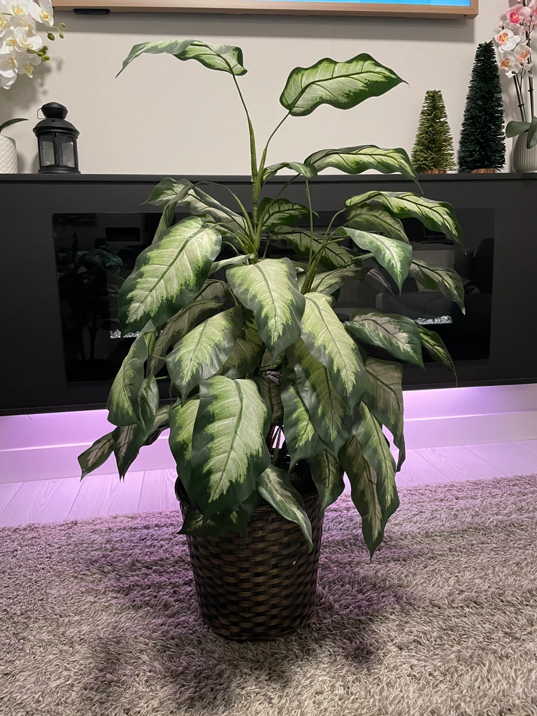 Artificial Dieffenbachia plant in wicker basket
