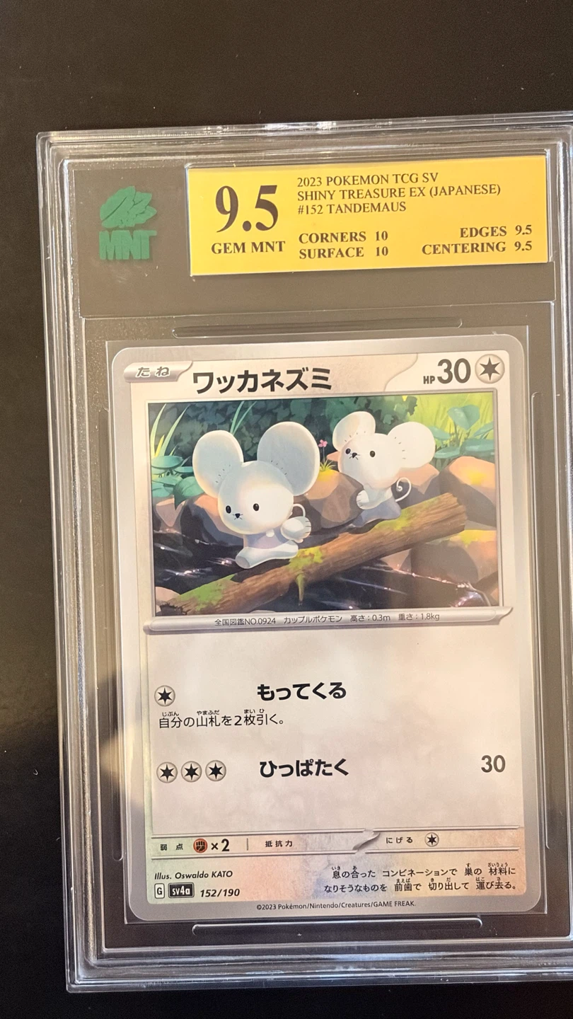 MNT 9.5 Tandemaus 2023 Pokemon TCG Shiny Treasure EX