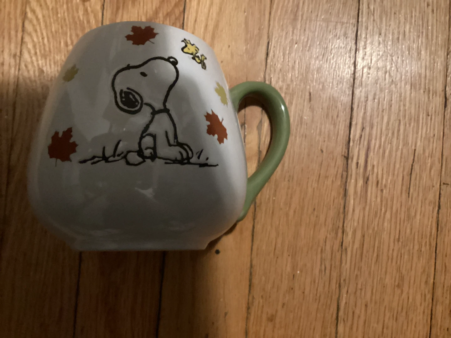 🏈Peanuts Snoopy Fall Mug
