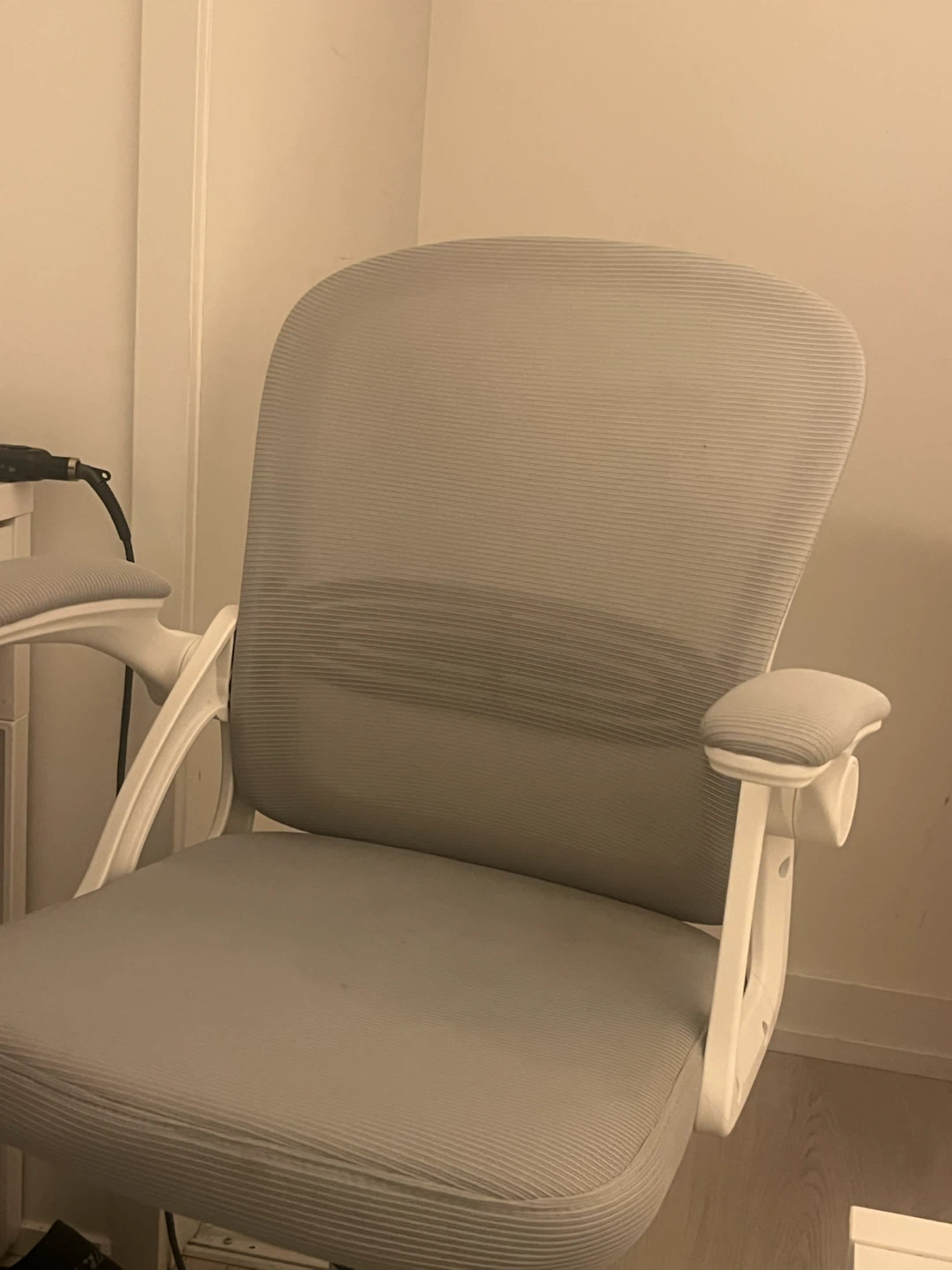 Fizzin Ergonomic Mesh Desk Chair with Lumbar Support & Flip Arms