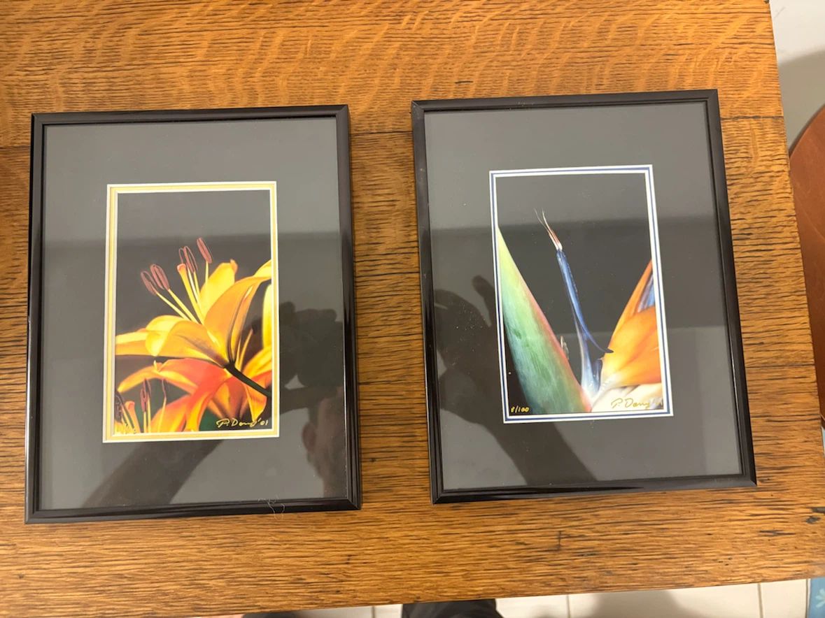 Peter Doney Signed Limited Edition Floral Art Pair – Framed