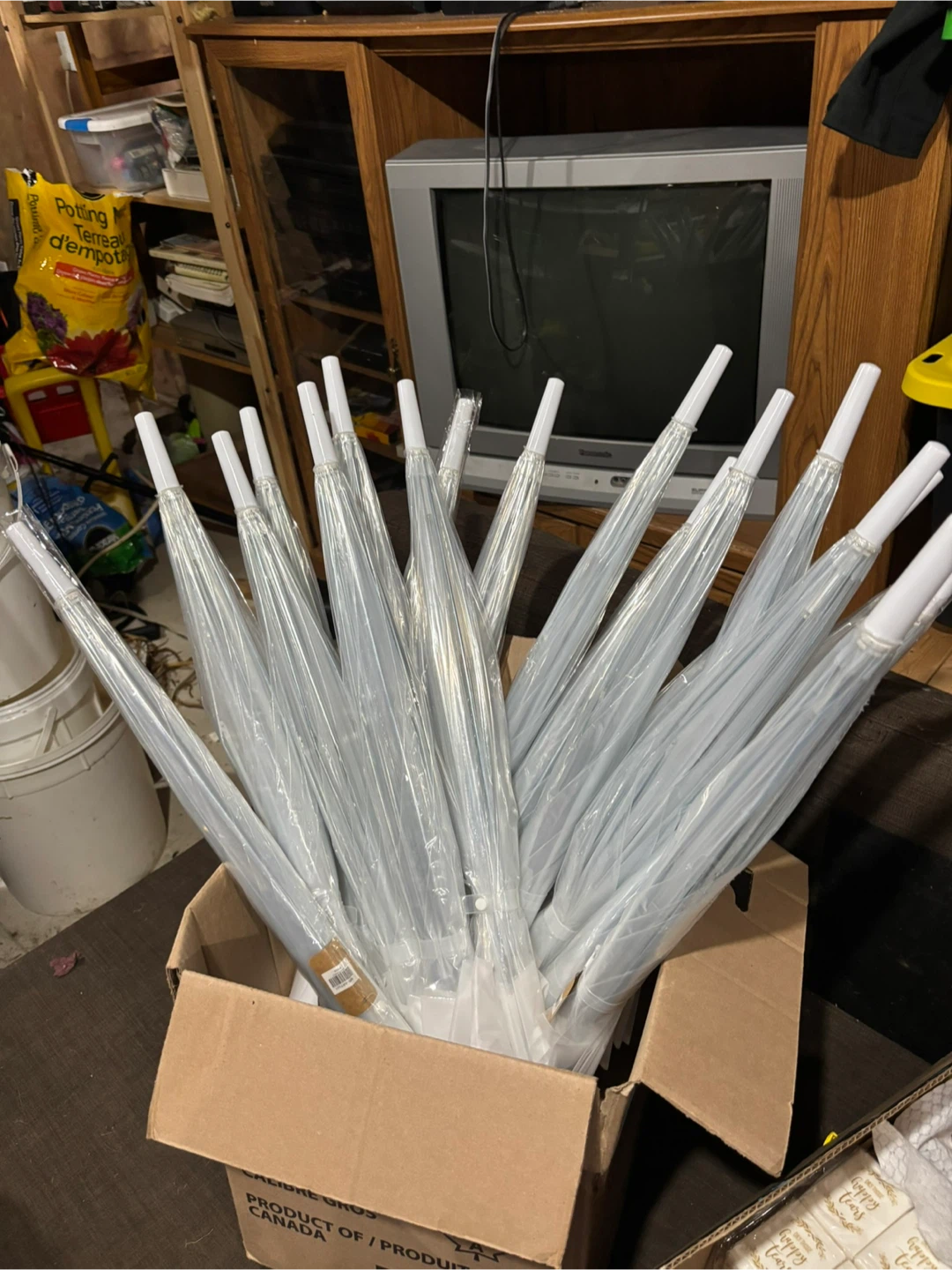 Set of 12 Clear Bubble Umbrellas
