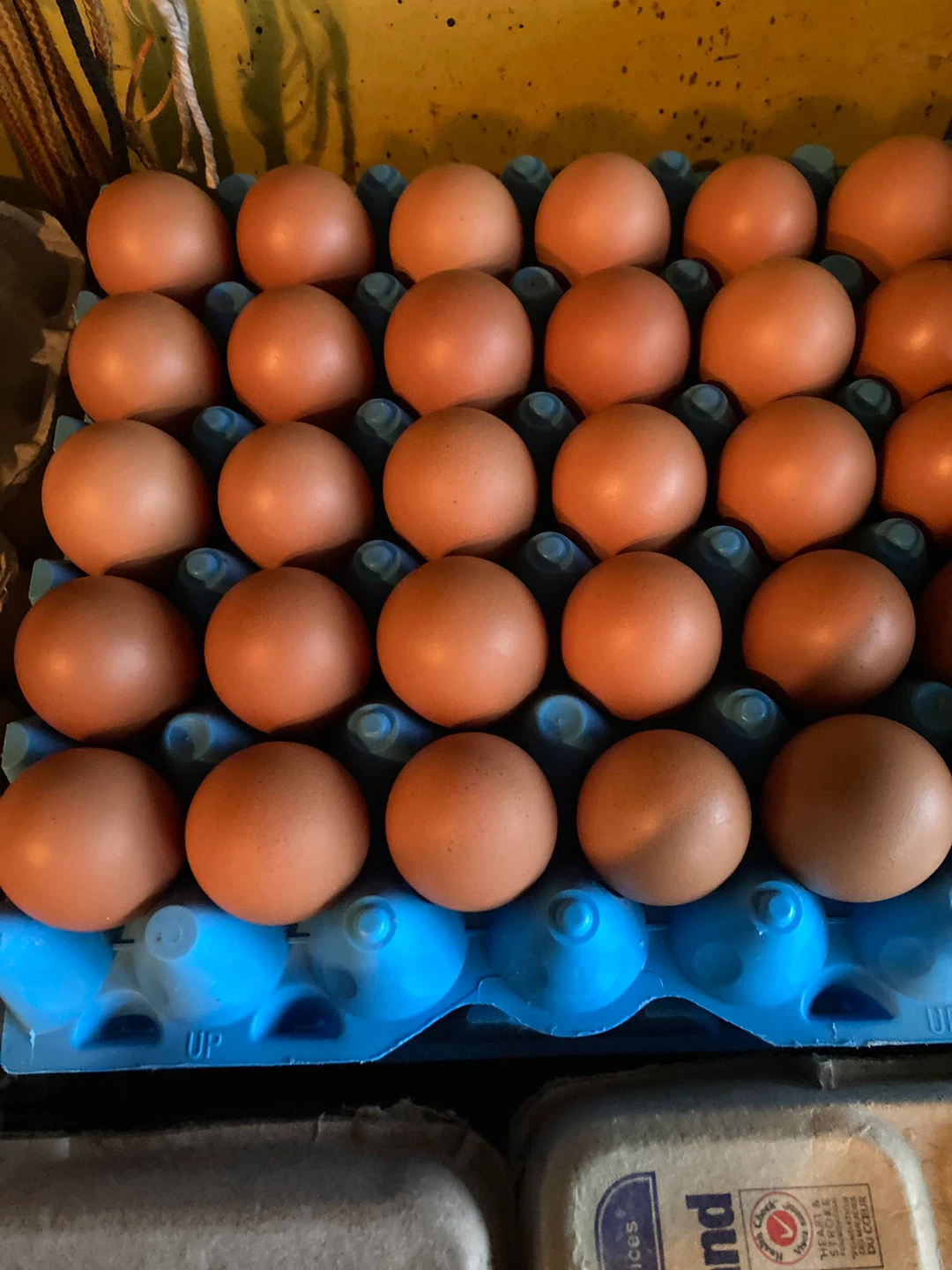 Assorted fresh produce and food items