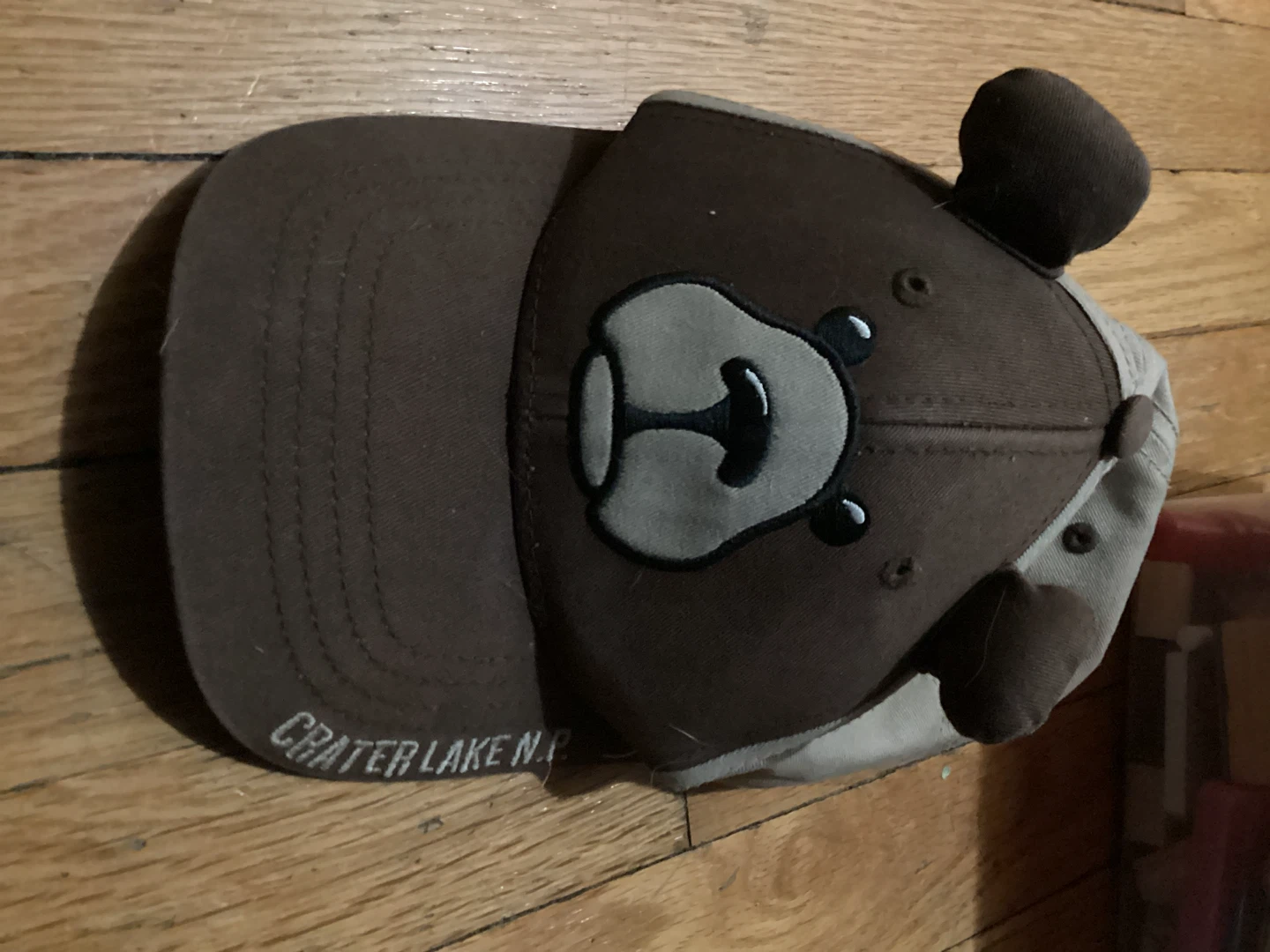 🏈 Kids Crater Lake N.P. Bear Baseball Cap
