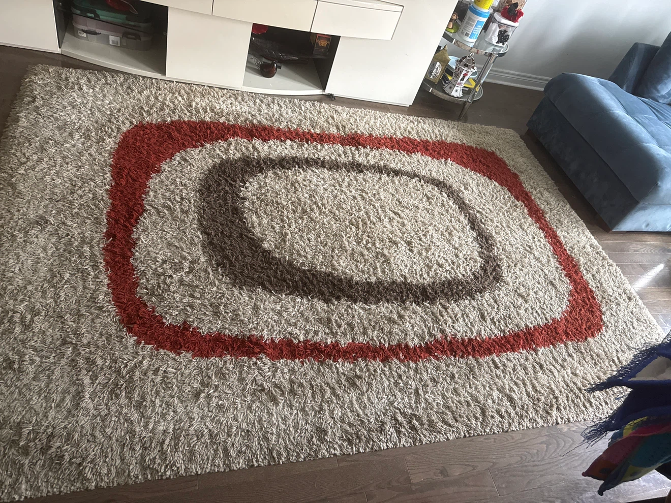 Shag Area Rug with Red and Brown Accents