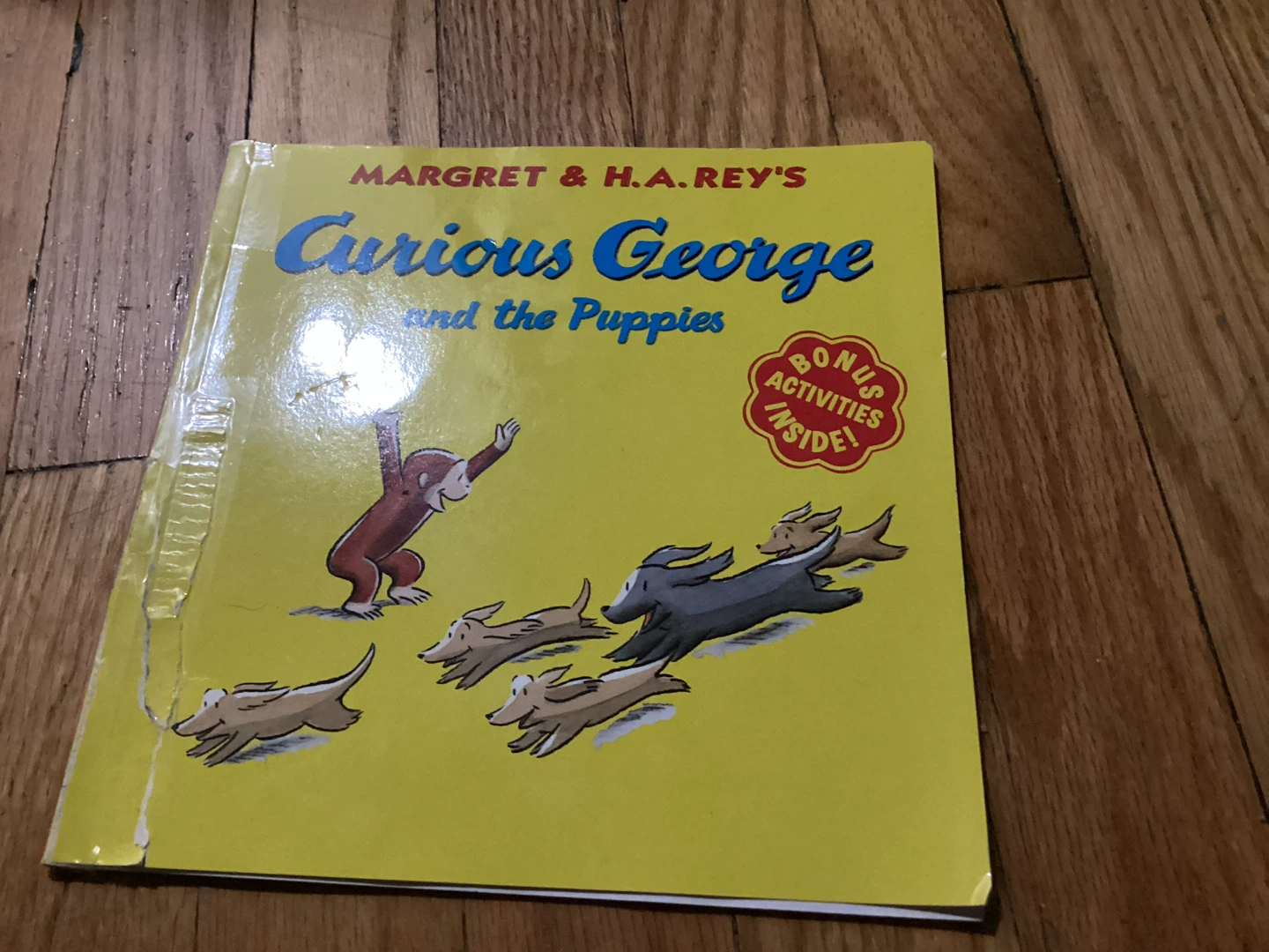 🏈Curious George and the Puppies Book