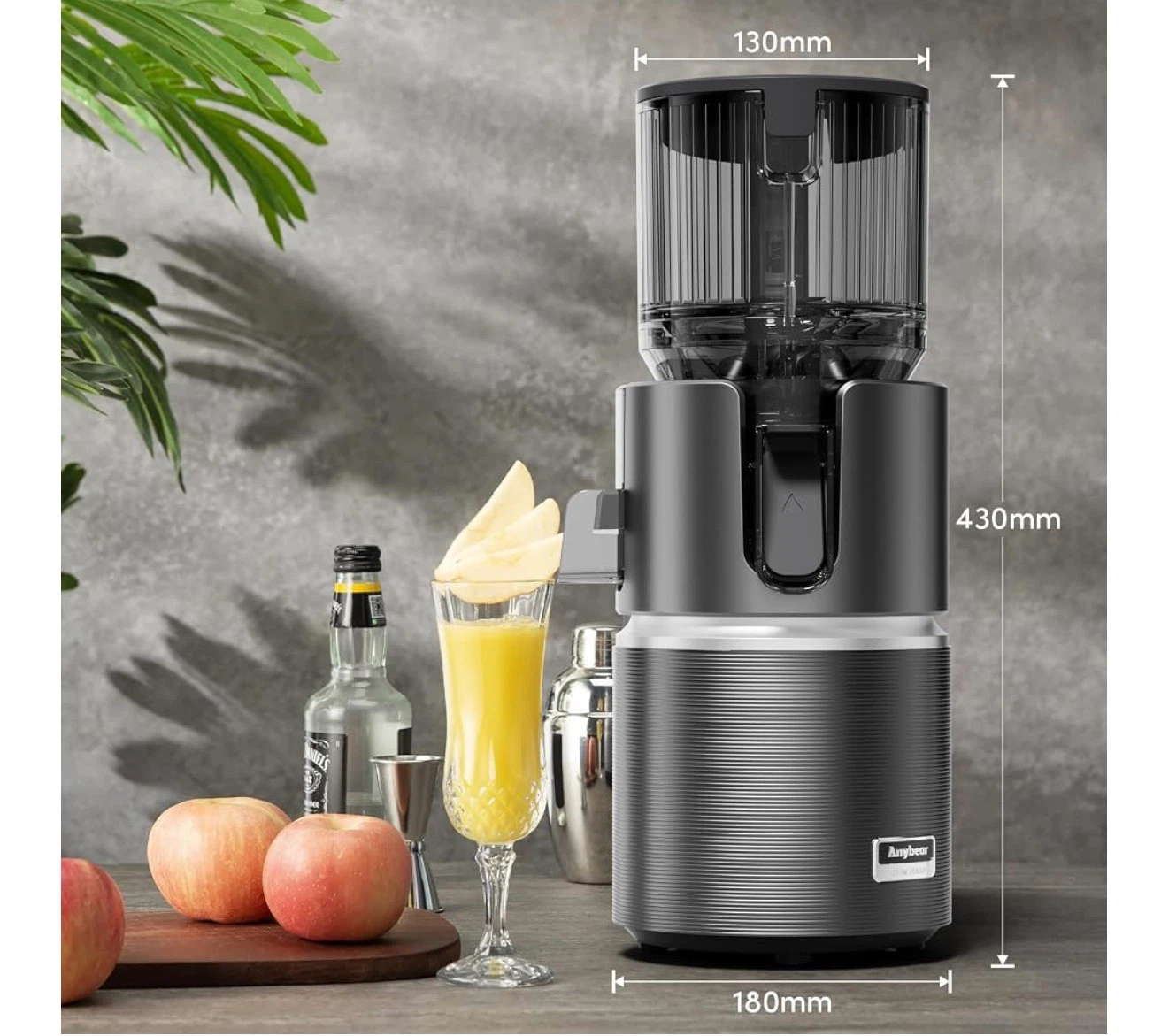 Anybear Cold Press Juicer - photo 2