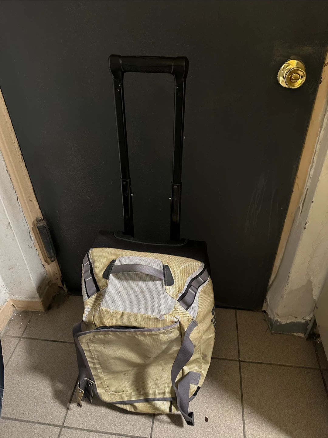 Patagonia Black Hole Wheeled Duffel, - photo 3