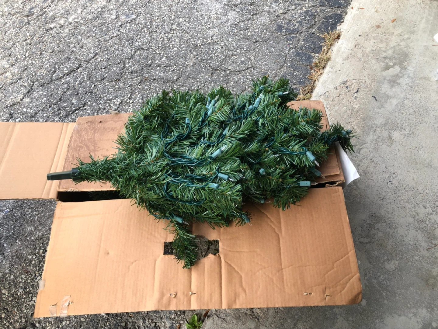 4 foot Pre-lit Uki Pine Christmas Tree - photo 3